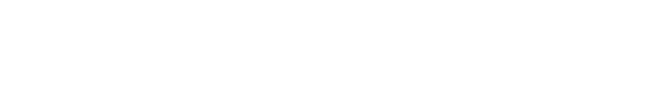 Raleigh Logo Grey